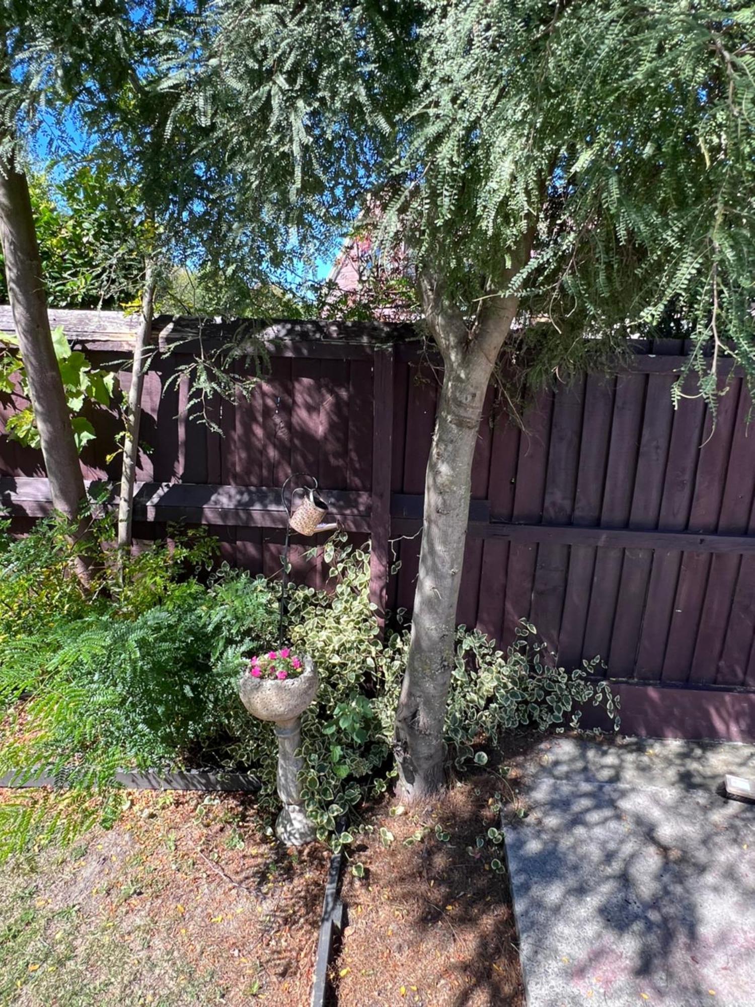 Gorgeous Villa, 7 Minutes From Airport Christchurch Exterior foto